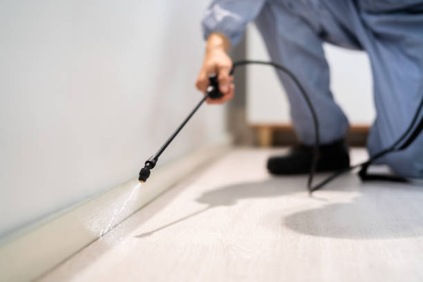 Licensed Exterminator service in Richardson, TX - Show Me Pest Control